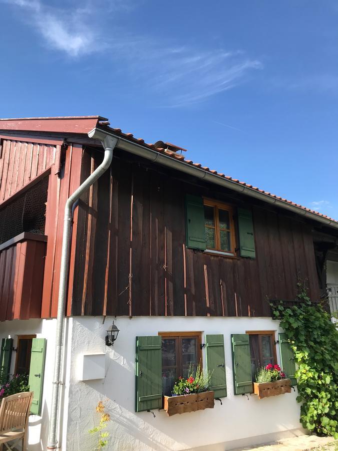 Chalet Alpenrose シュヴァンガウ エクステリア 写真